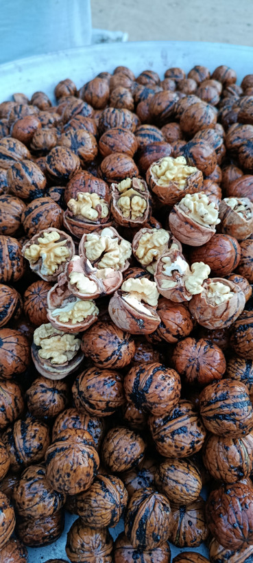 گردو نیمه خشک تویسرکان ۸۵/۹۰ درصد سفید ارگانیک