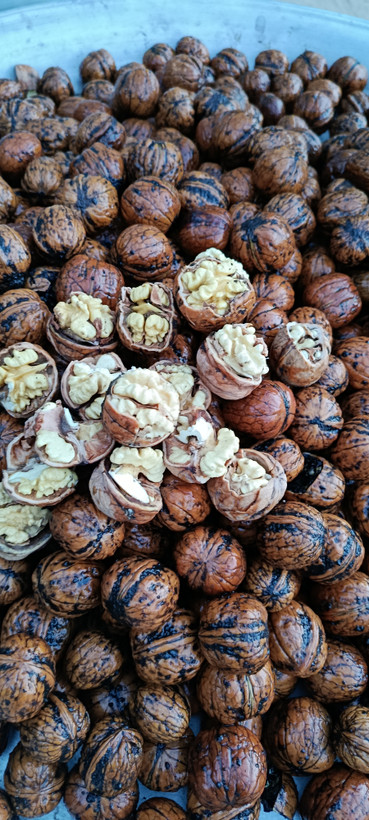 گردو نیمه خشک تویسرکان ۸۵/۹۰ درصد سفید ارگانیک
