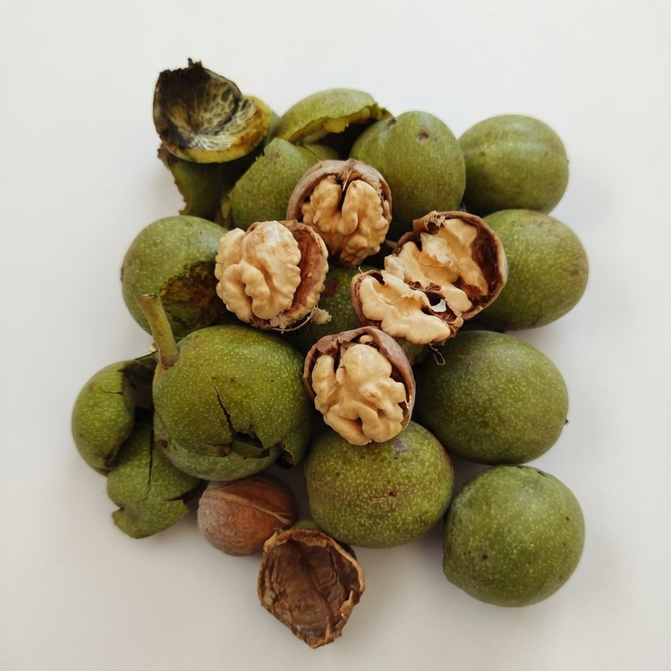 گردو سبز تازه خوری تویسرکان ۹۰ درصد سفید