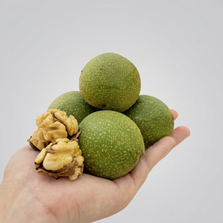 گردو سبز تازه خوری تویسرکان ۹۰ درصد سفید