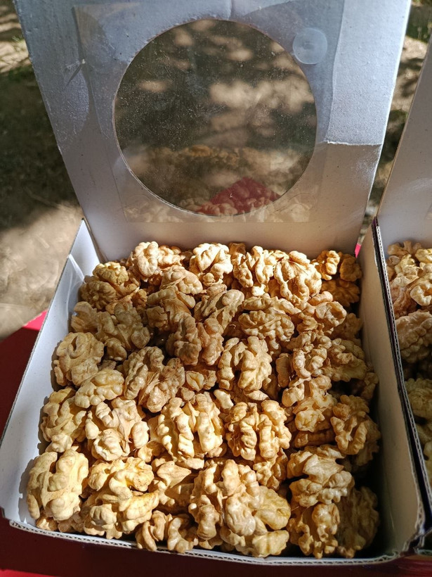 مغز گردو سوپر لوکس تویسرکان بدون شکستی