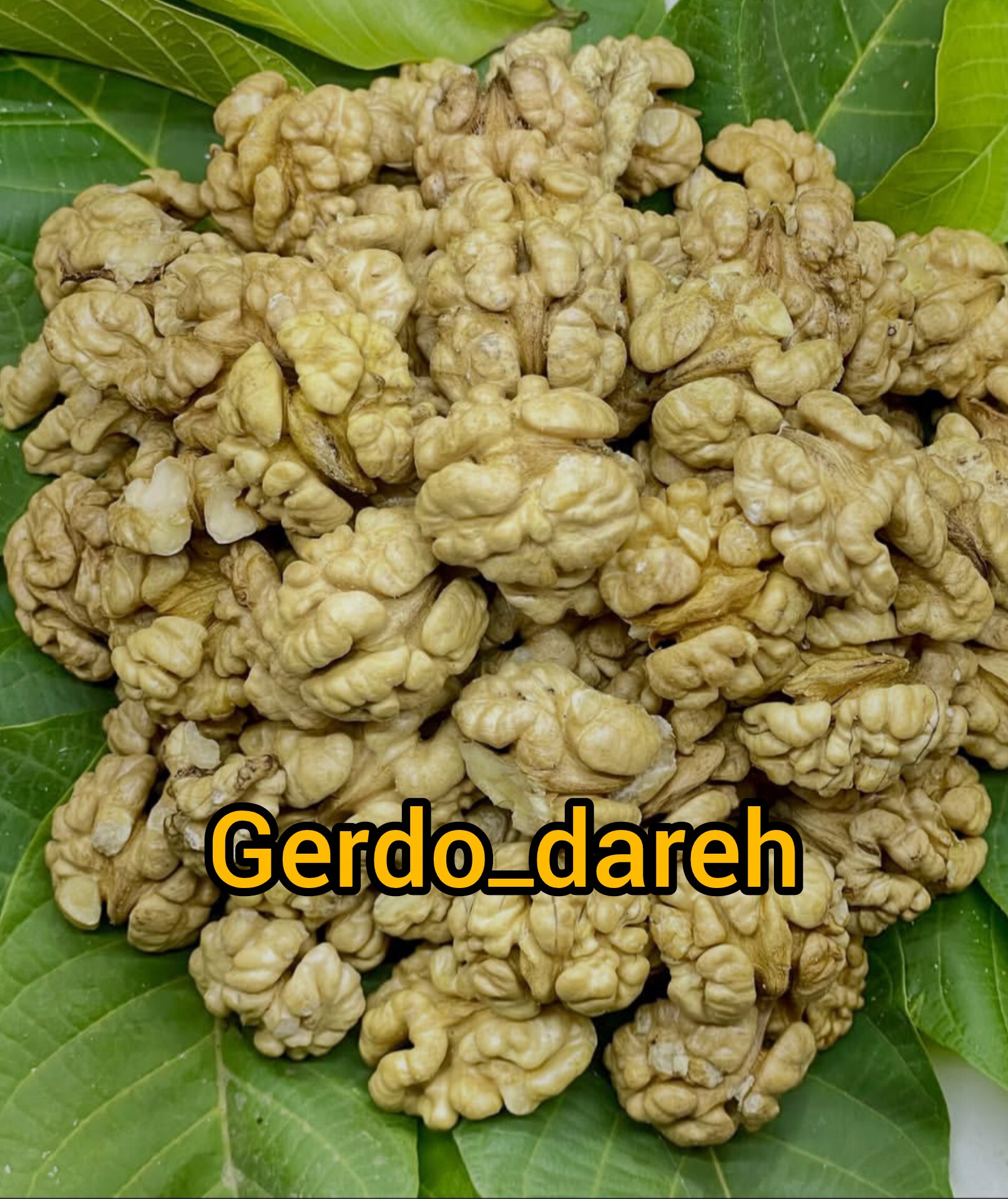 مغز گردو سوپر لوکس تویسرکان بدون شکستی