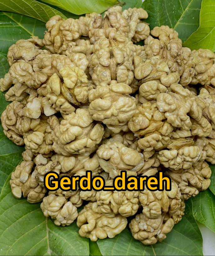مغز گردو سوپر لوکس تویسرکان بدون شکستی